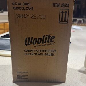 Carpet & Upholstery Cleaner with Brush